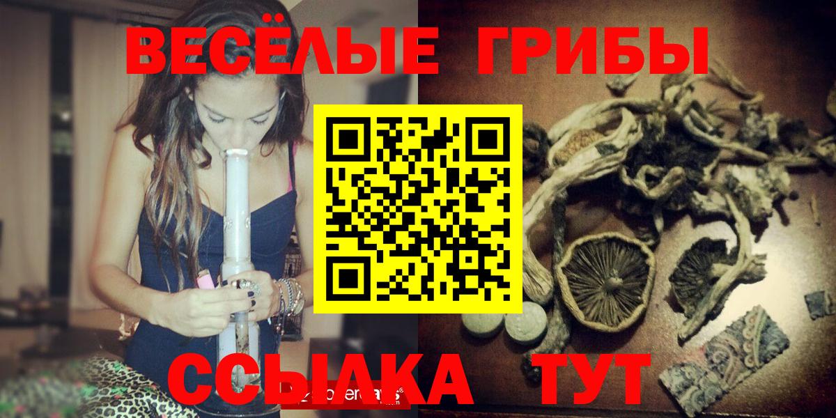 Псилоцибиновые грибы Psilocybe  Вход с VPN  Гусь-Хрустальный 