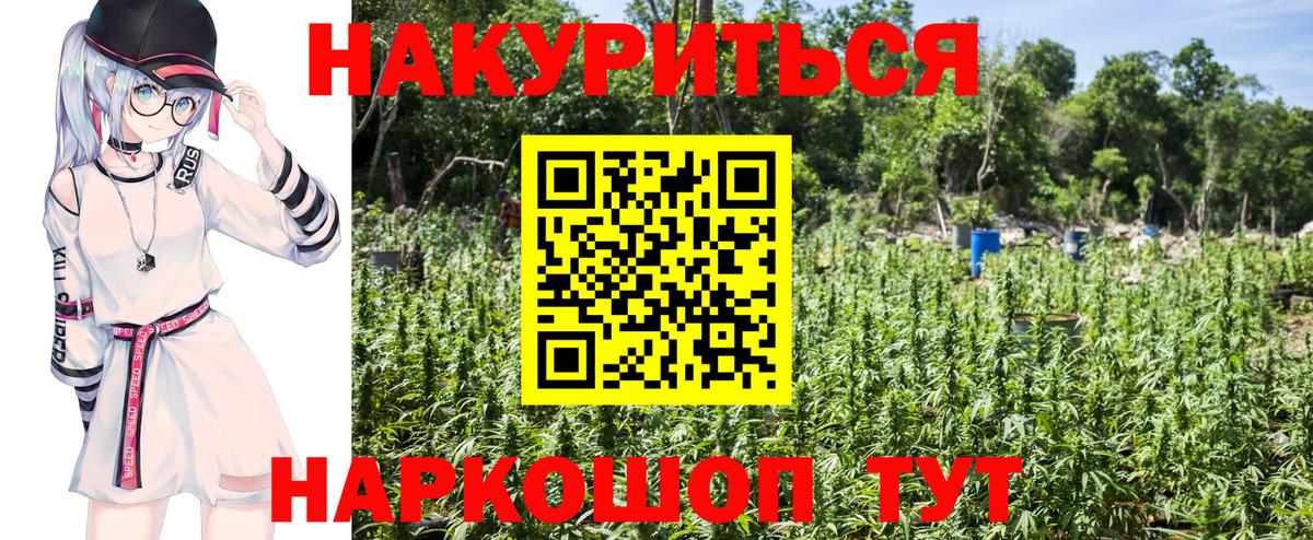 Канабис White Widow  Вход с VPN  Гусь-Хрустальный  МАРИХУАНА ГИДРОПОН  МАРИХУАНА VHQ 